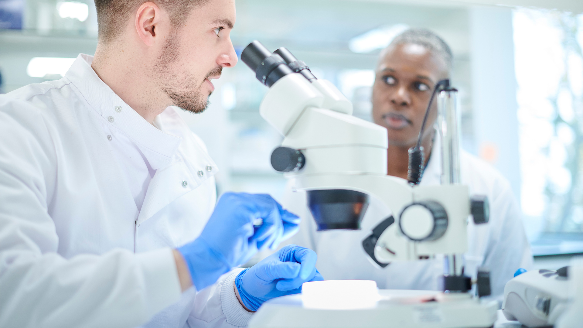Two scientists in lab coats examining a sample under a microscope in a bright laboratory