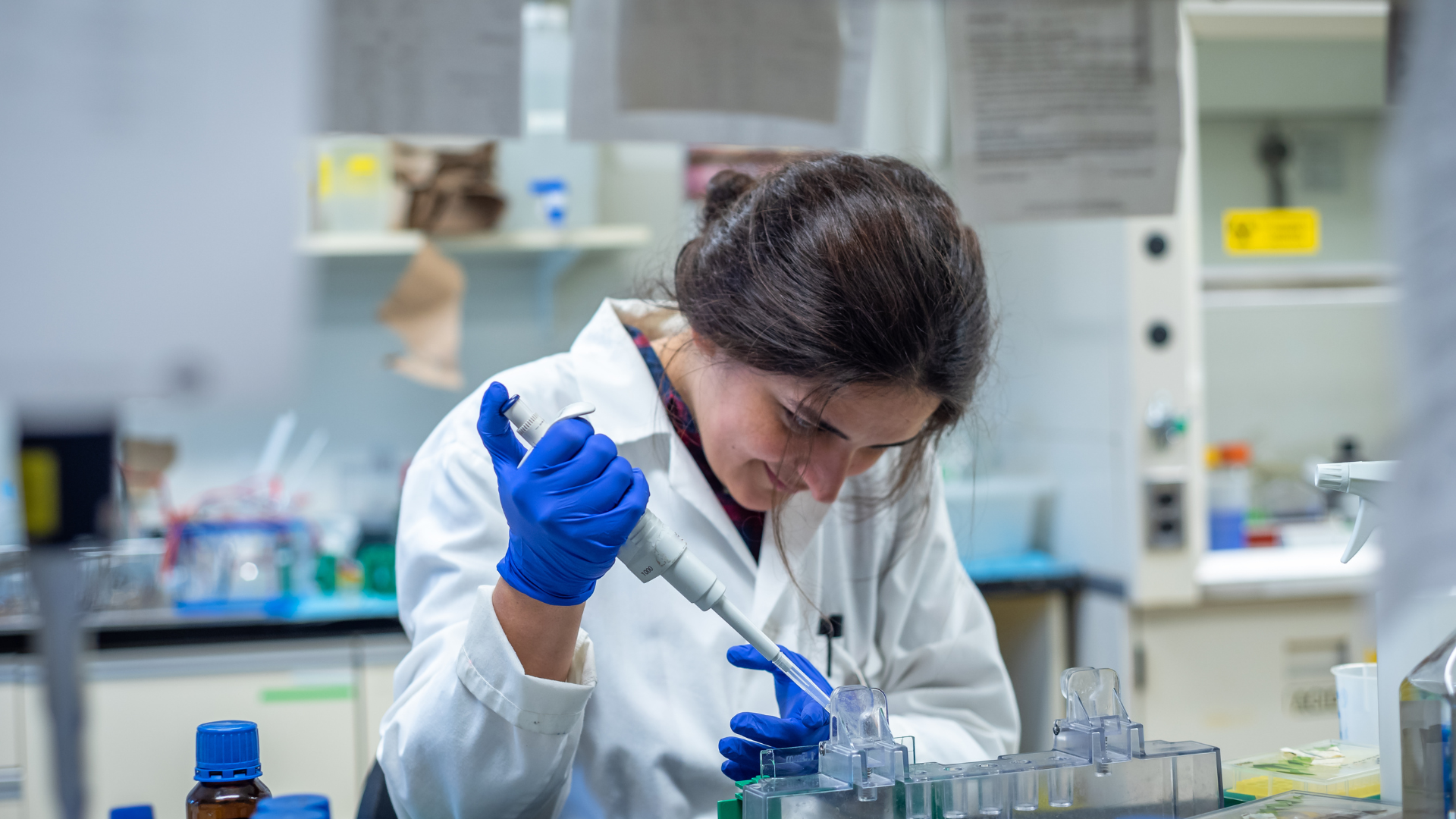 Scientist in a lab coat and blue gloves pipetting liquid in a laboratory