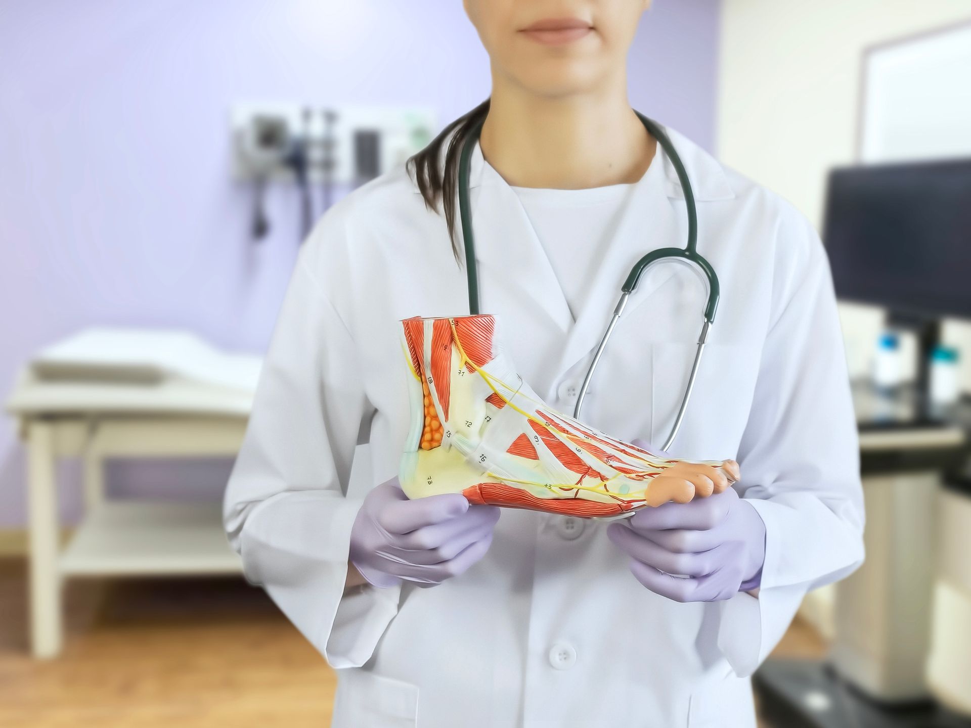 Medical worker holds foot model in a bright clinical office.