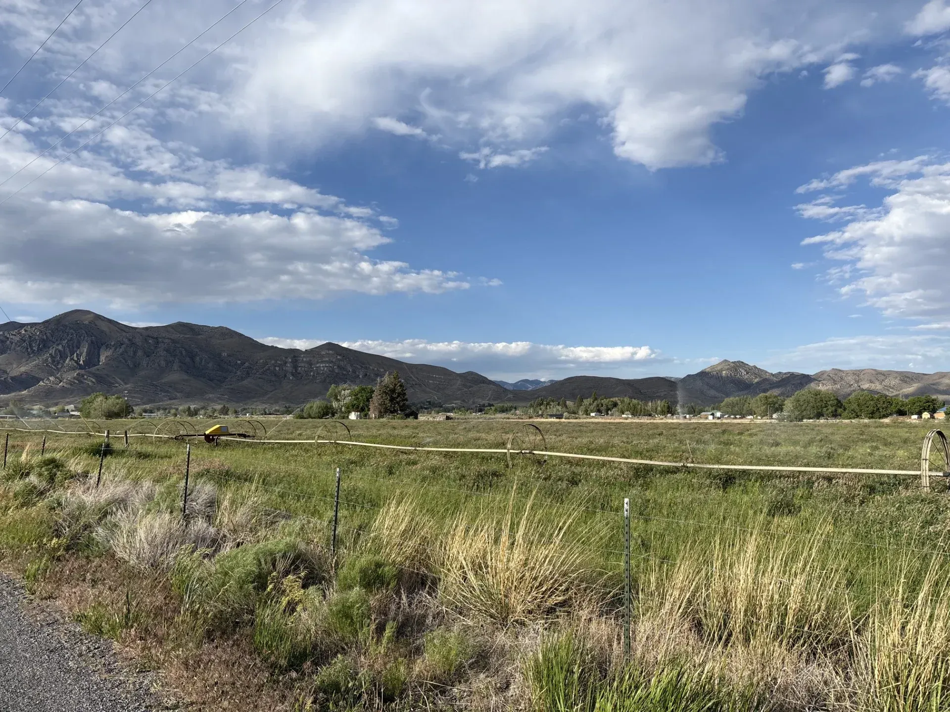 Grassy field with mountains in the background under a blue sky with clouds.