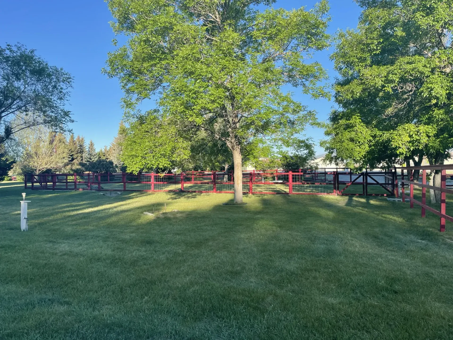 Green grassy yard with red fence surrounding trees under a blue sky.
