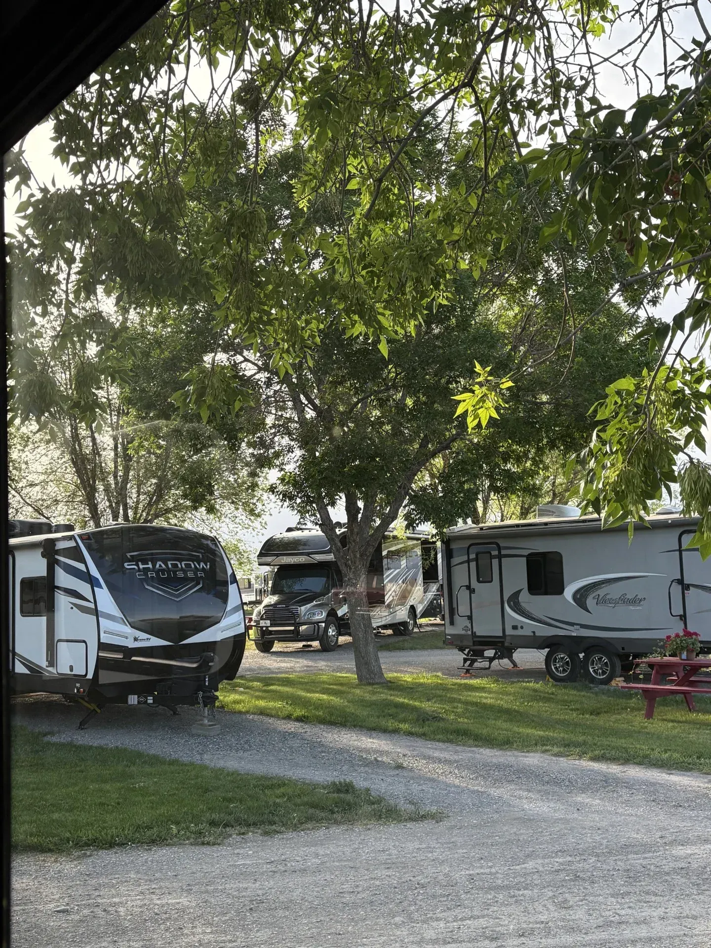 Campground with RVs parked on gravel, under trees.