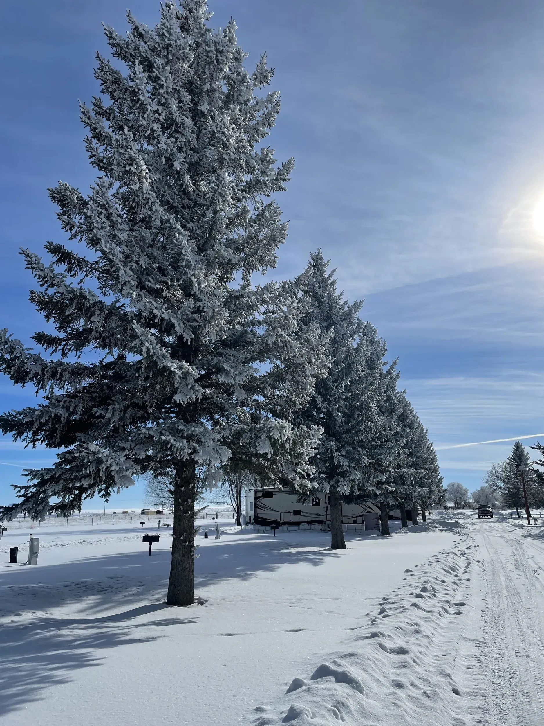 Snowy evergreen trees line a snow-covered path on a sunny day. A recreational vehicle is parked nearby.