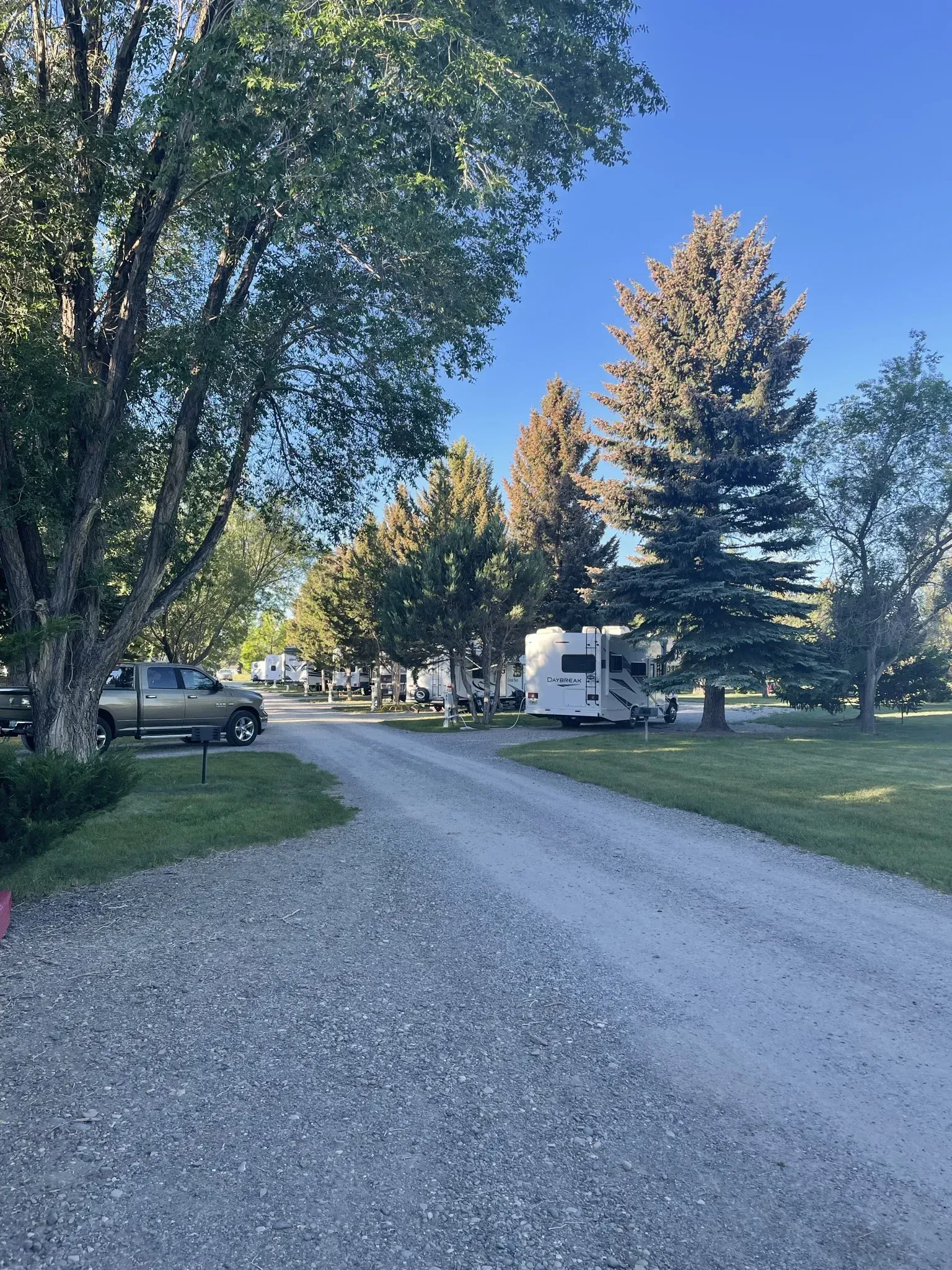 Gravel road leading into a campground with RVs and trees on a sunny day.