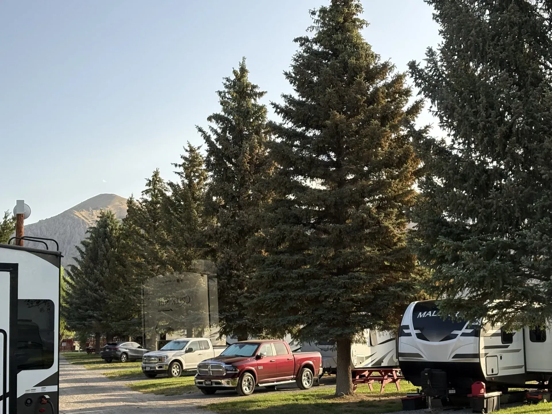 Campground with RVs parked among tall trees, mountain in the background under a blue sky.