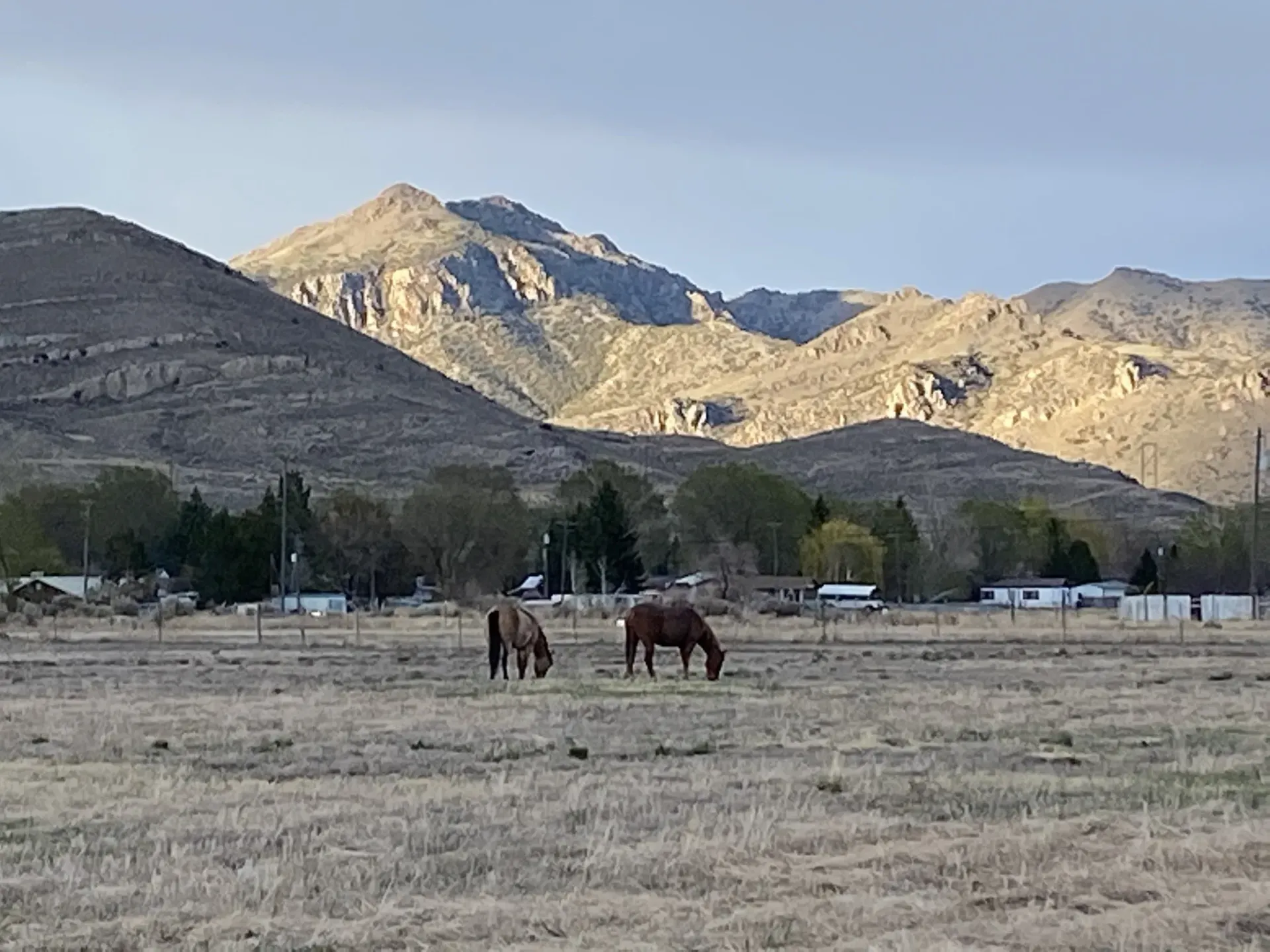 Two horses graze in a field with mountains in the background under a cloudy sky.