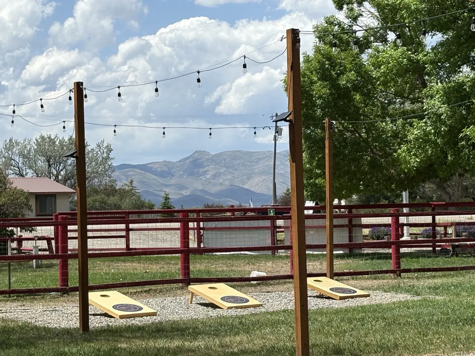 Cornhole boards on grass, string lights overhead, mountains in the background.