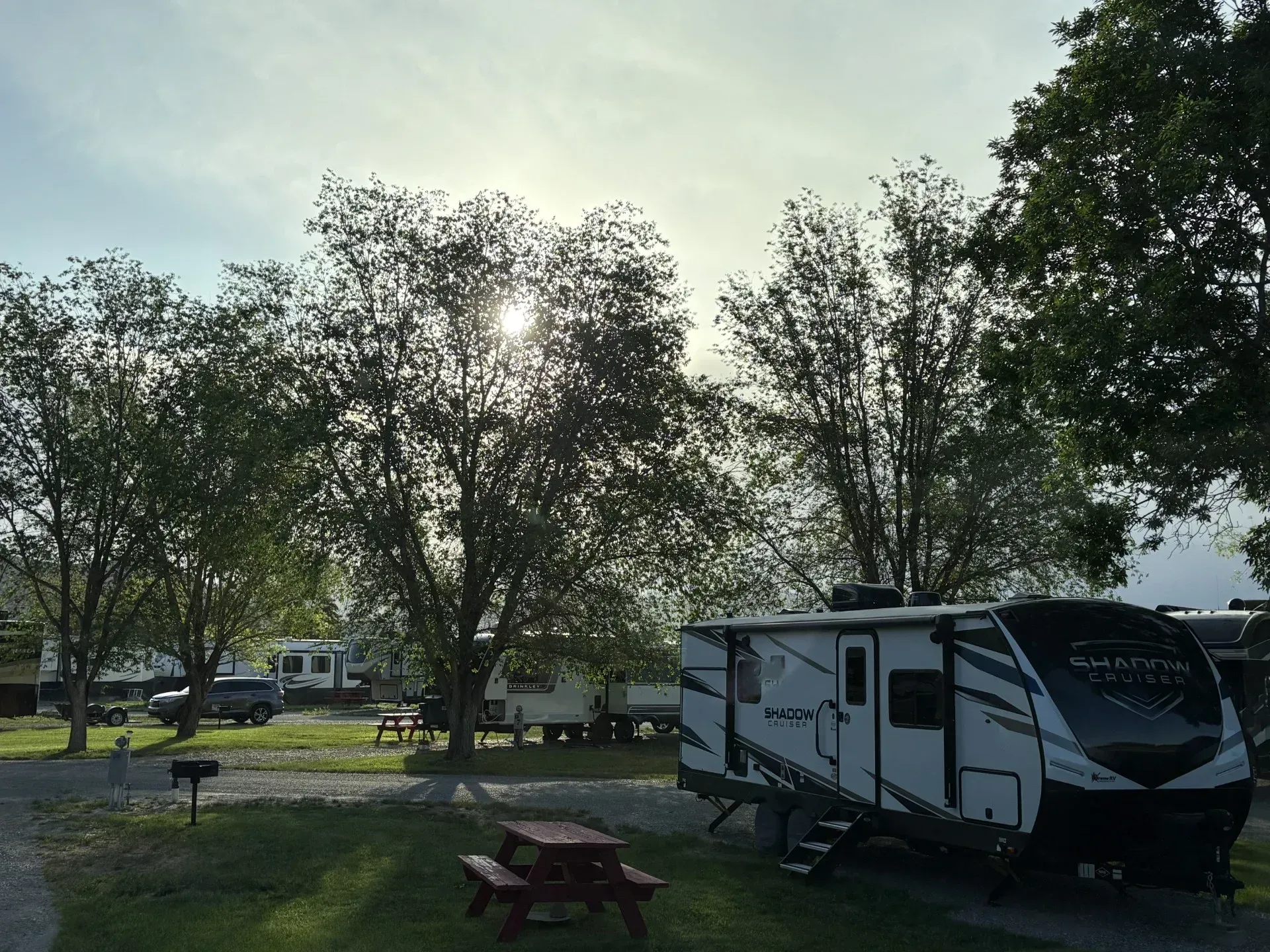 Campground with RVs parked on grass, trees, picnic table, and sunlight.