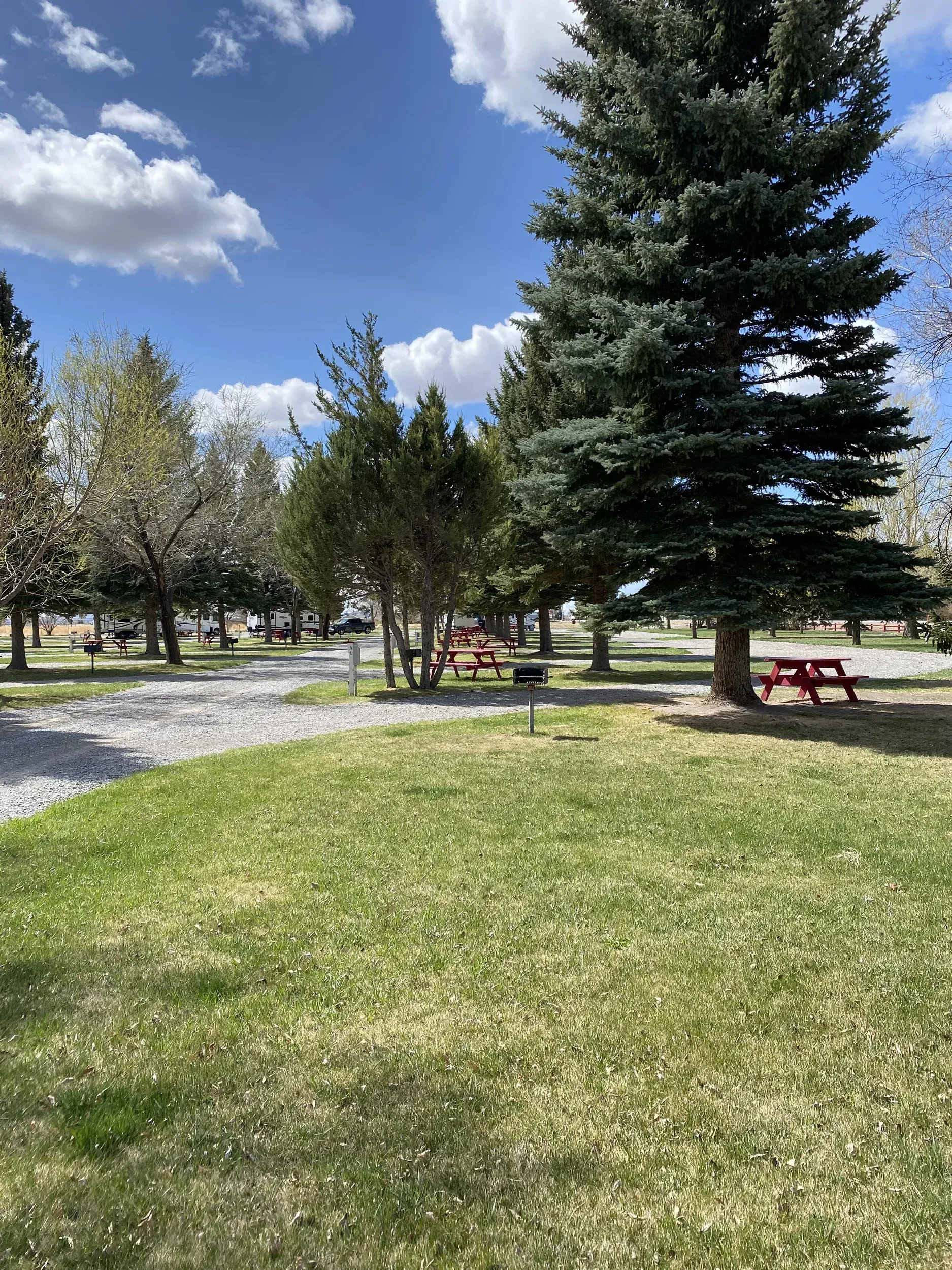 Park scene with trees, picnic tables, and green grass under a blue sky with clouds.
