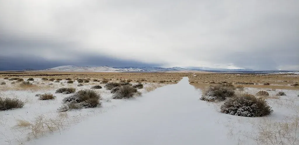 Snow-covered path through a field with sparse vegetation, leading towards mountains under a cloudy sky.