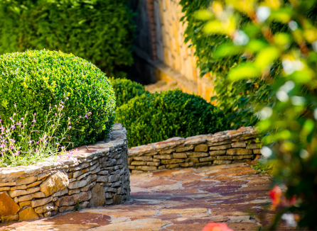 good backyard landscape design in orange county