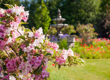garden care in mission viejo ca