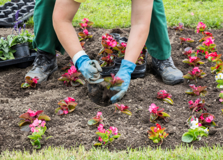gardening service in orange county ca