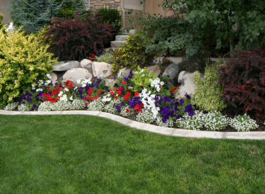 Irvine landscaping