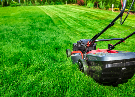 lawn care service in orange county