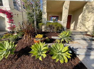 front yard landscape design in orange county