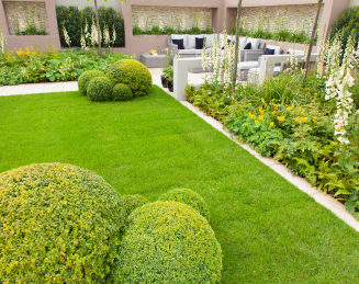 backyard landscaping in orange county