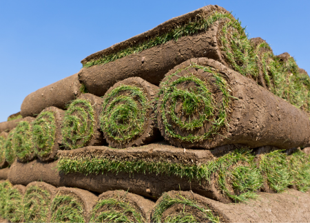 fresh sod for installation in orange county