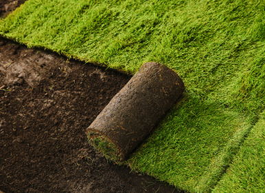 sod being installed in Irvine yard