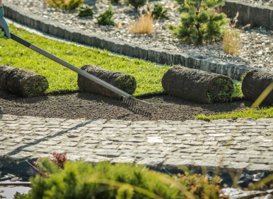 sod installation service in mission viejo