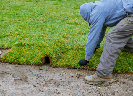 sod installation in orange county ca