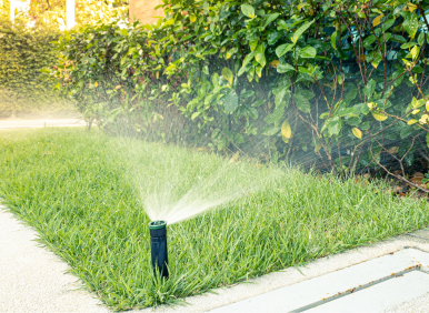 beautiful landscape design in orange county