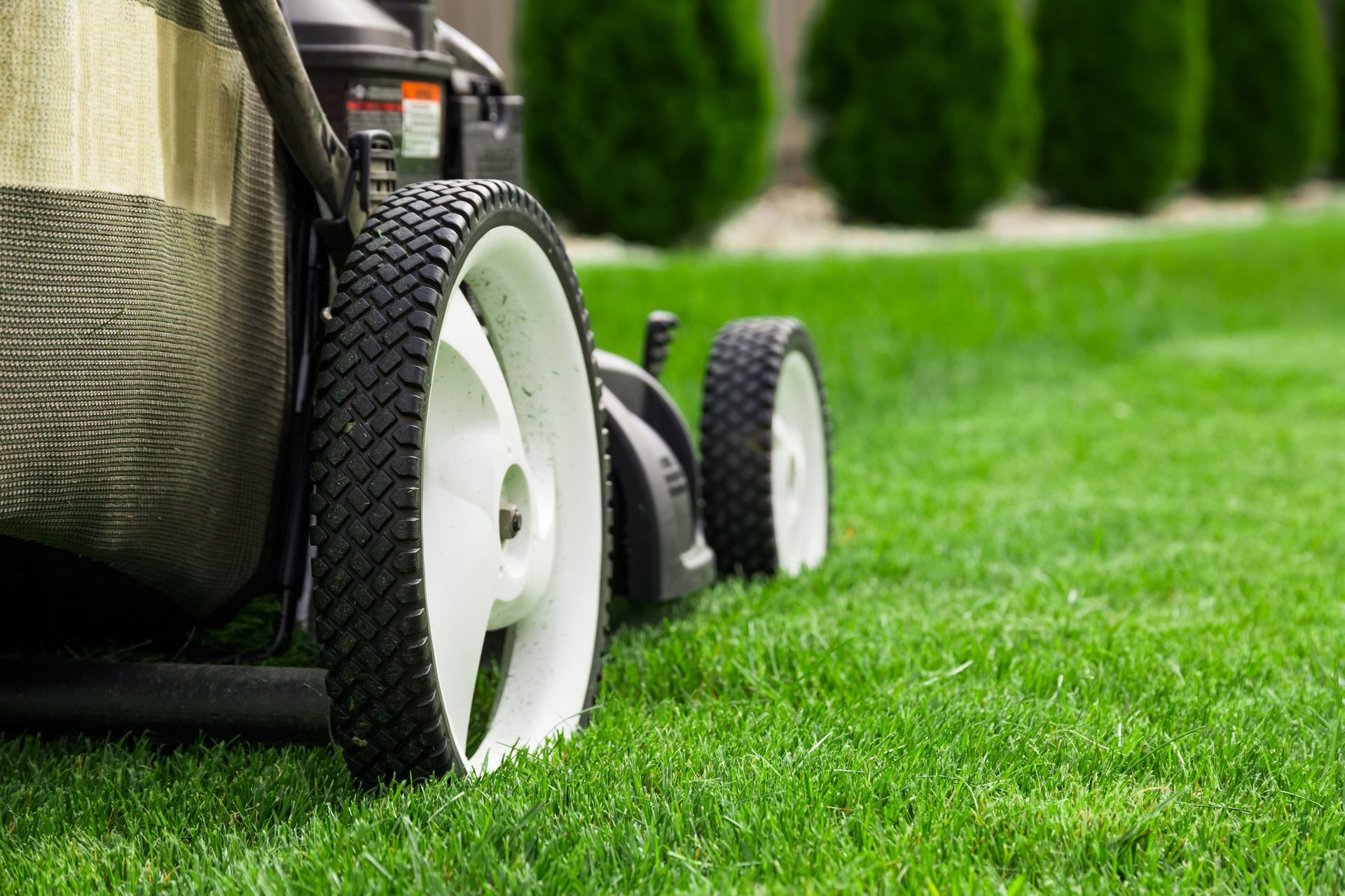 Lawn Maintenance in Carlsbad, NM Lawn Maintenance in Carlsbad, NM