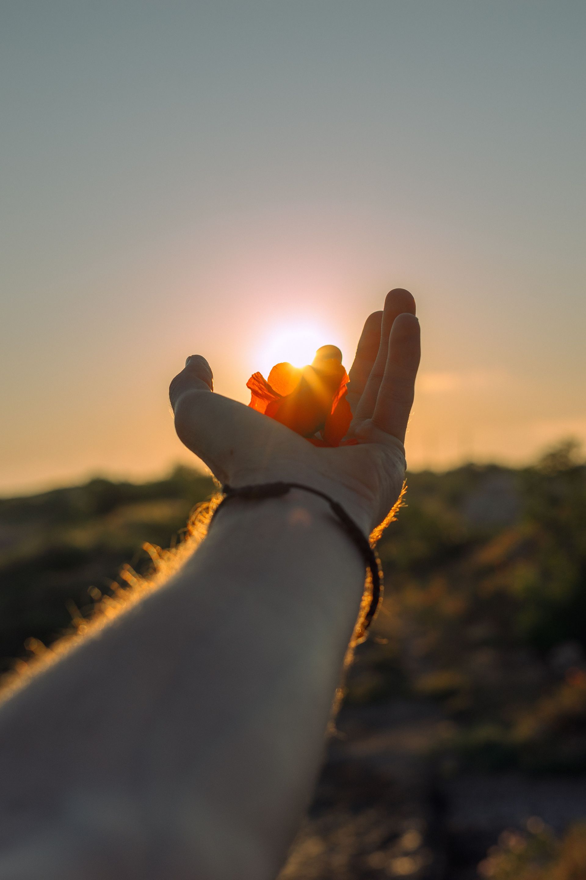 Hands reaching toward the setting sun over a blurred outdoor landscape