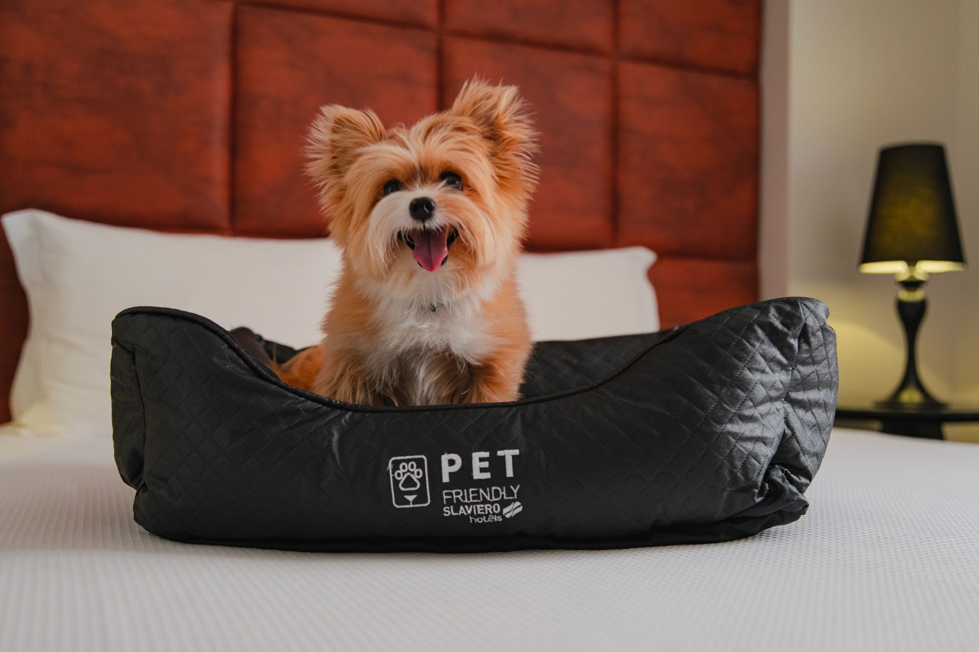 Pet