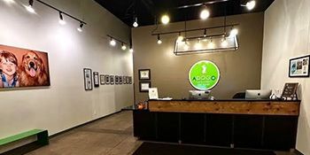 A reception area in a veterinary clinic with a wooden counter.