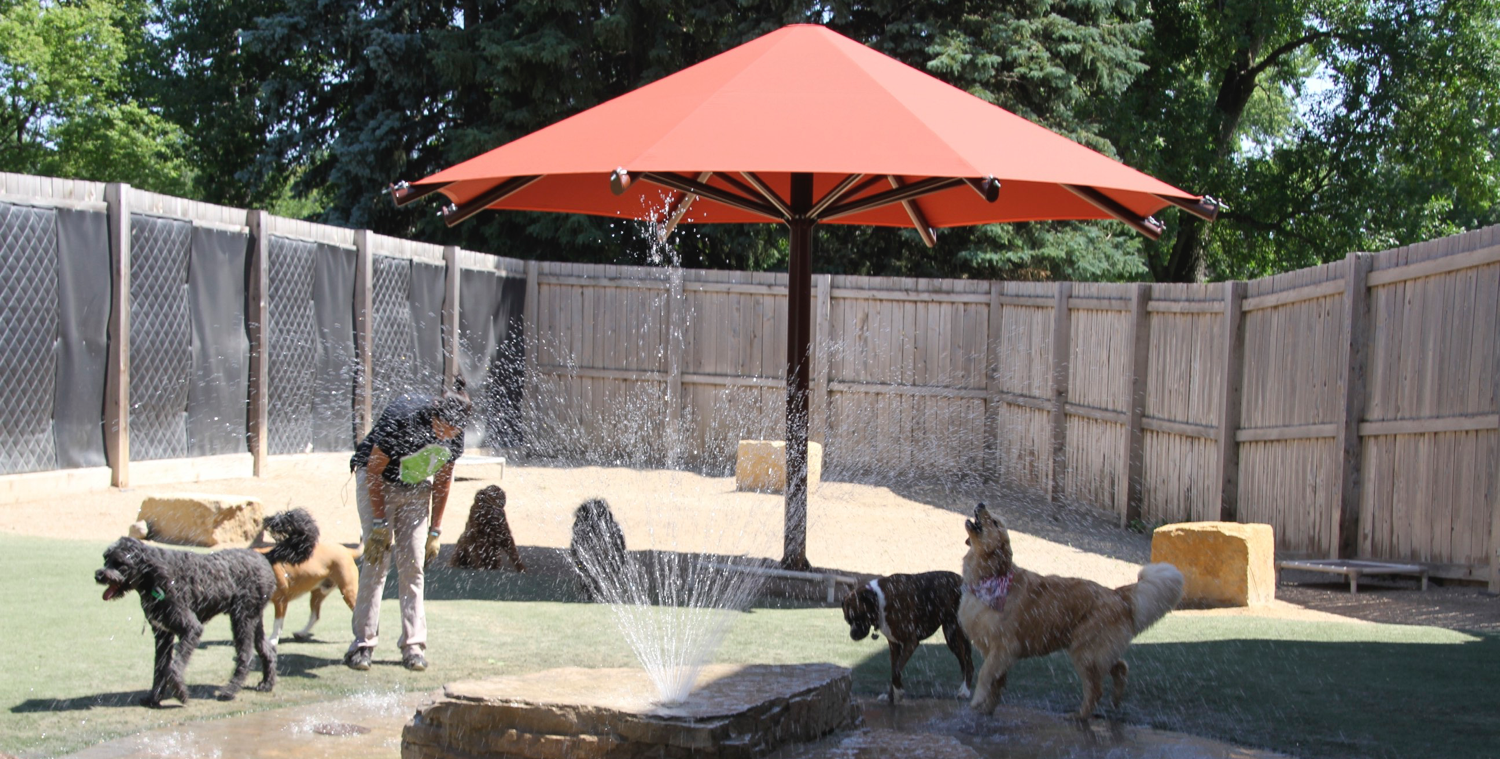 A group of dogs are playing in a sprinkler under an orange umbrella
