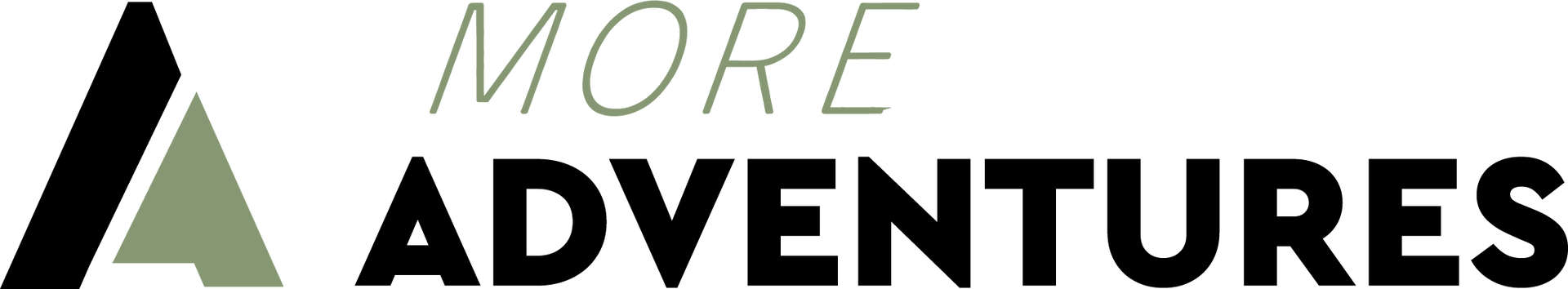 TravelNova logo with gold globe icon and white text on a transparent background