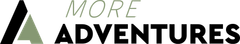 TravelNova logo with gold globe icon and white text on a transparent background