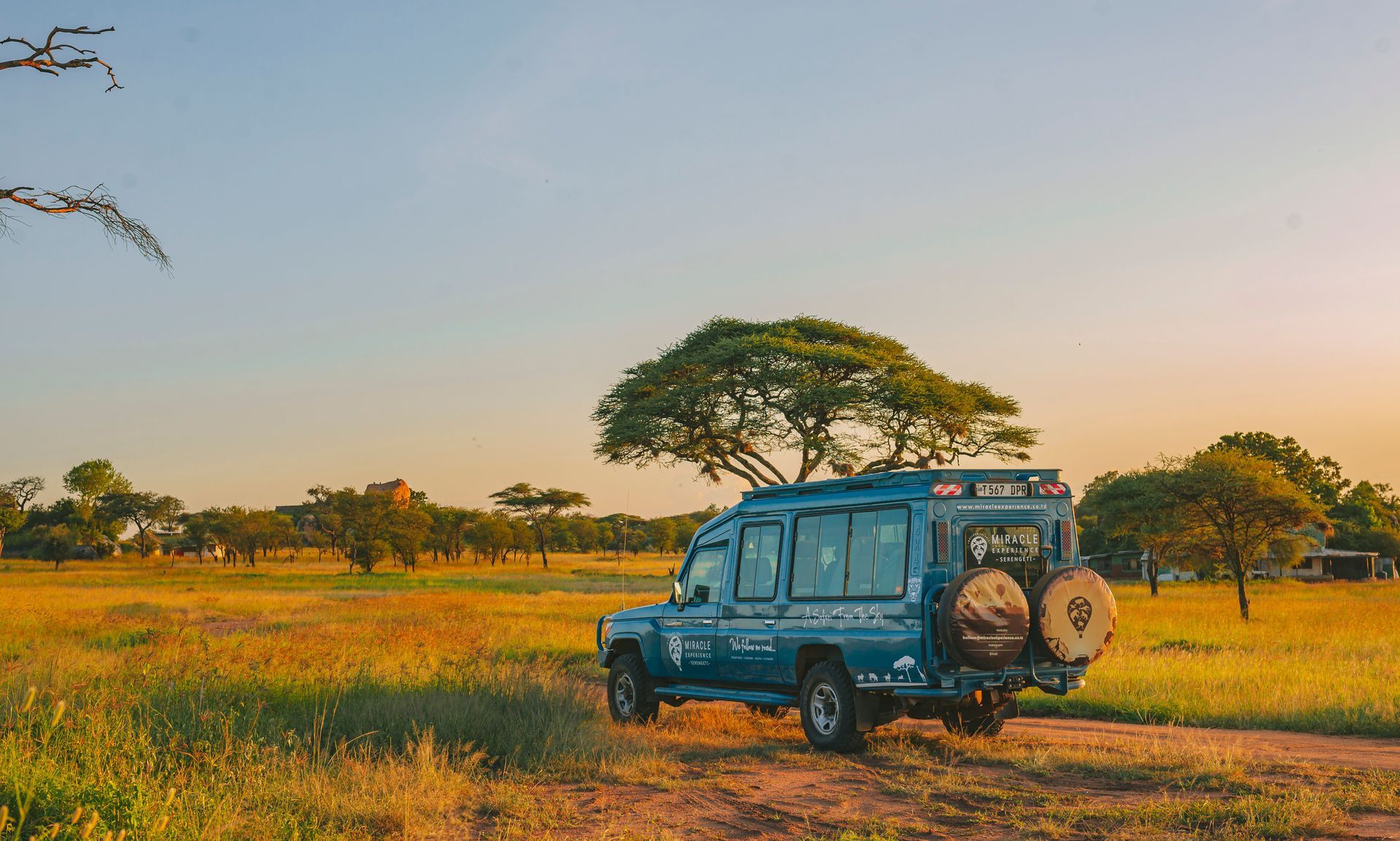 Tanzania Safari