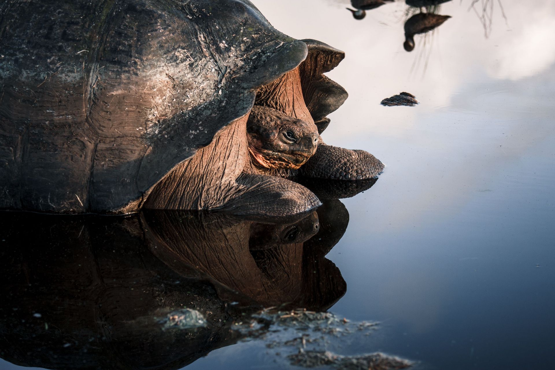 Galapagos Island Adventure