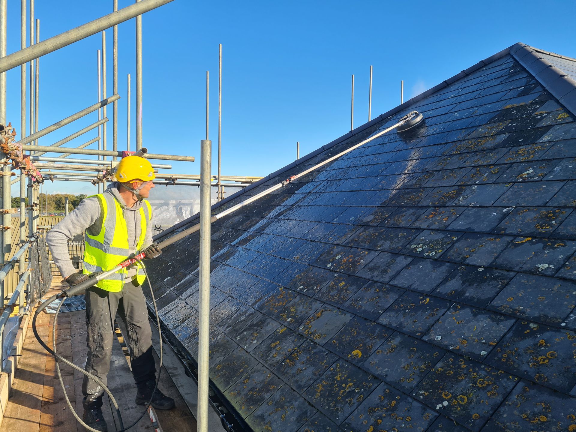 What You Need to Know About Biocide for Roof Cleaning