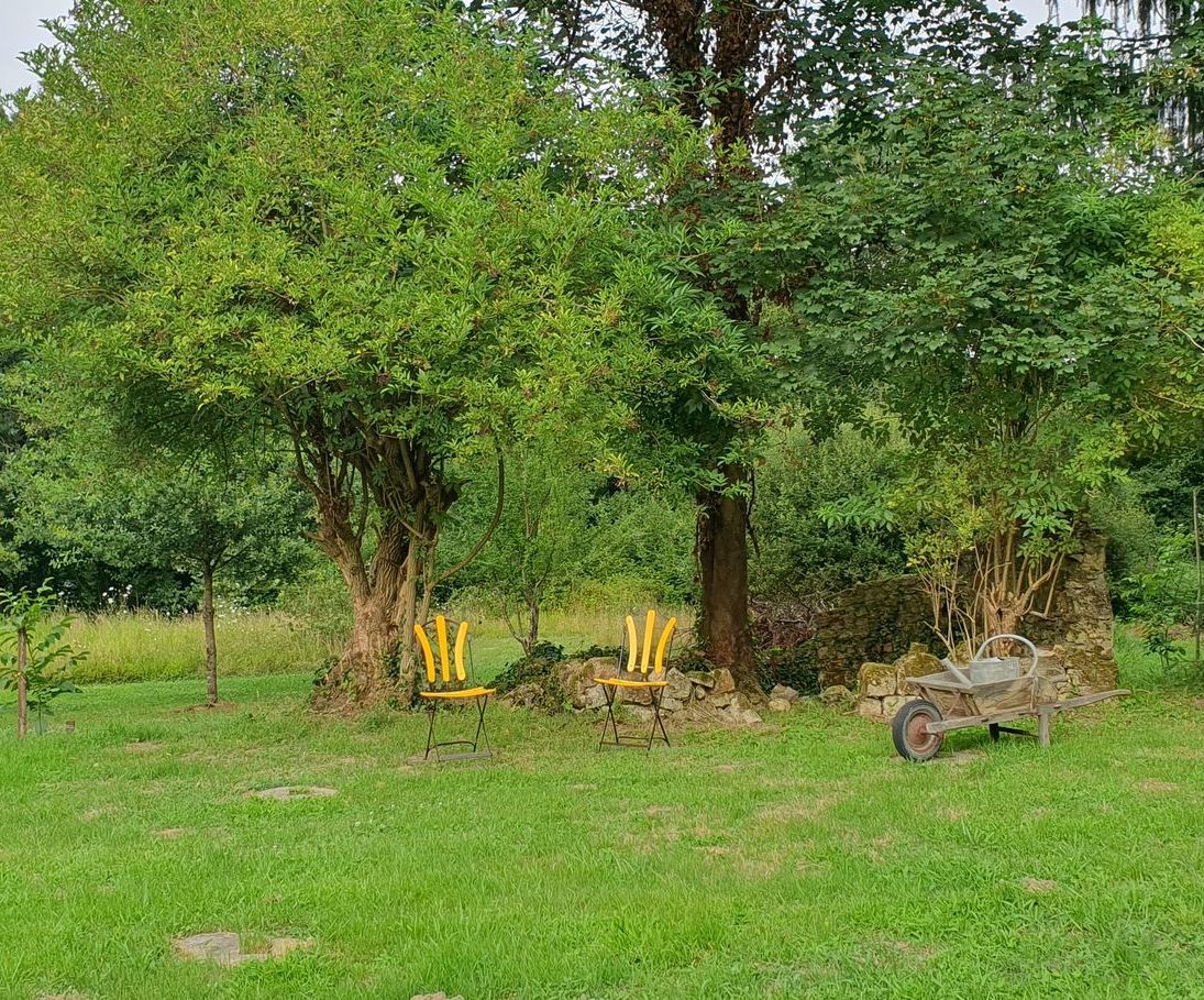 Une brouette est assise au milieu d'un champ herbeux entouré d'arbres.