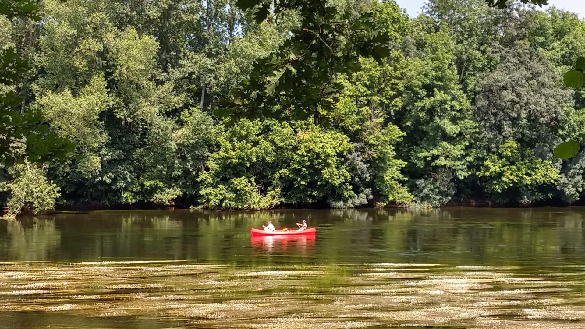 Een rode kano met twee personen op een rustig meer, omgeven door groene bomen.