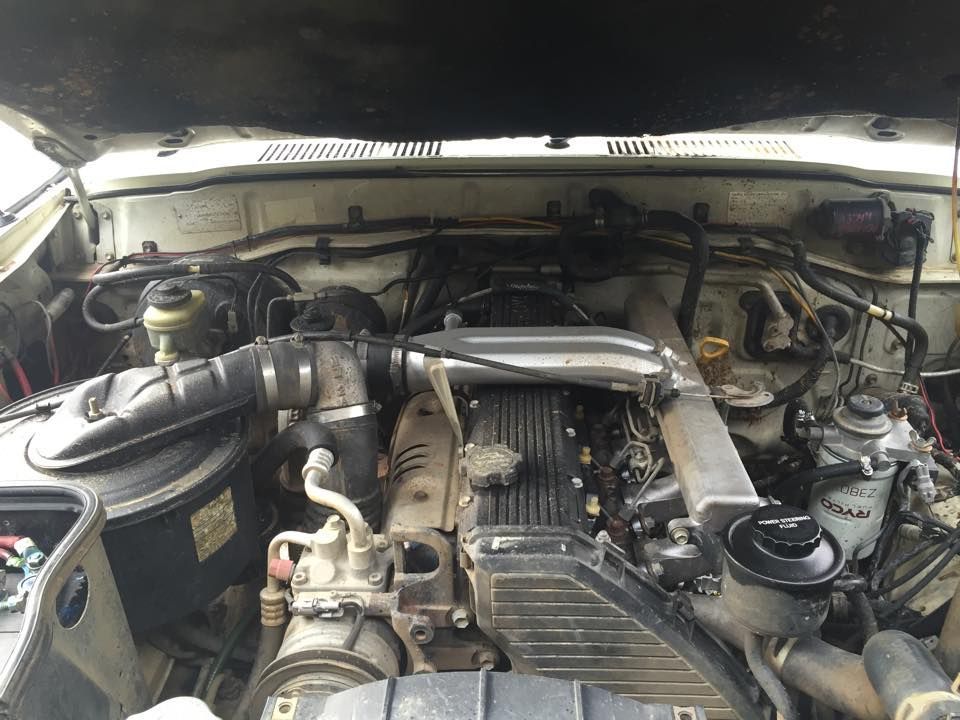 Diesel engine bay under an open vehicle bonnet.