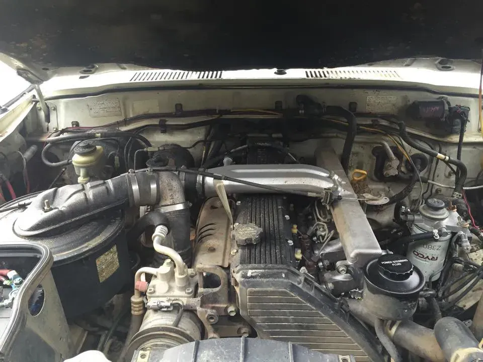 A Close Up of the Engine of a Car With the Hood Up — Shoalhaven Diesel Tech in South Nowra, NSW