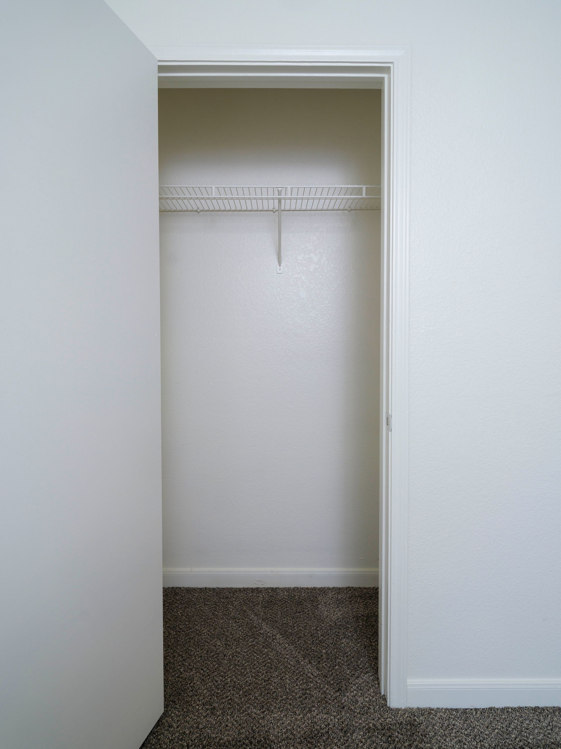 Open closet with white walls and carpeted floor