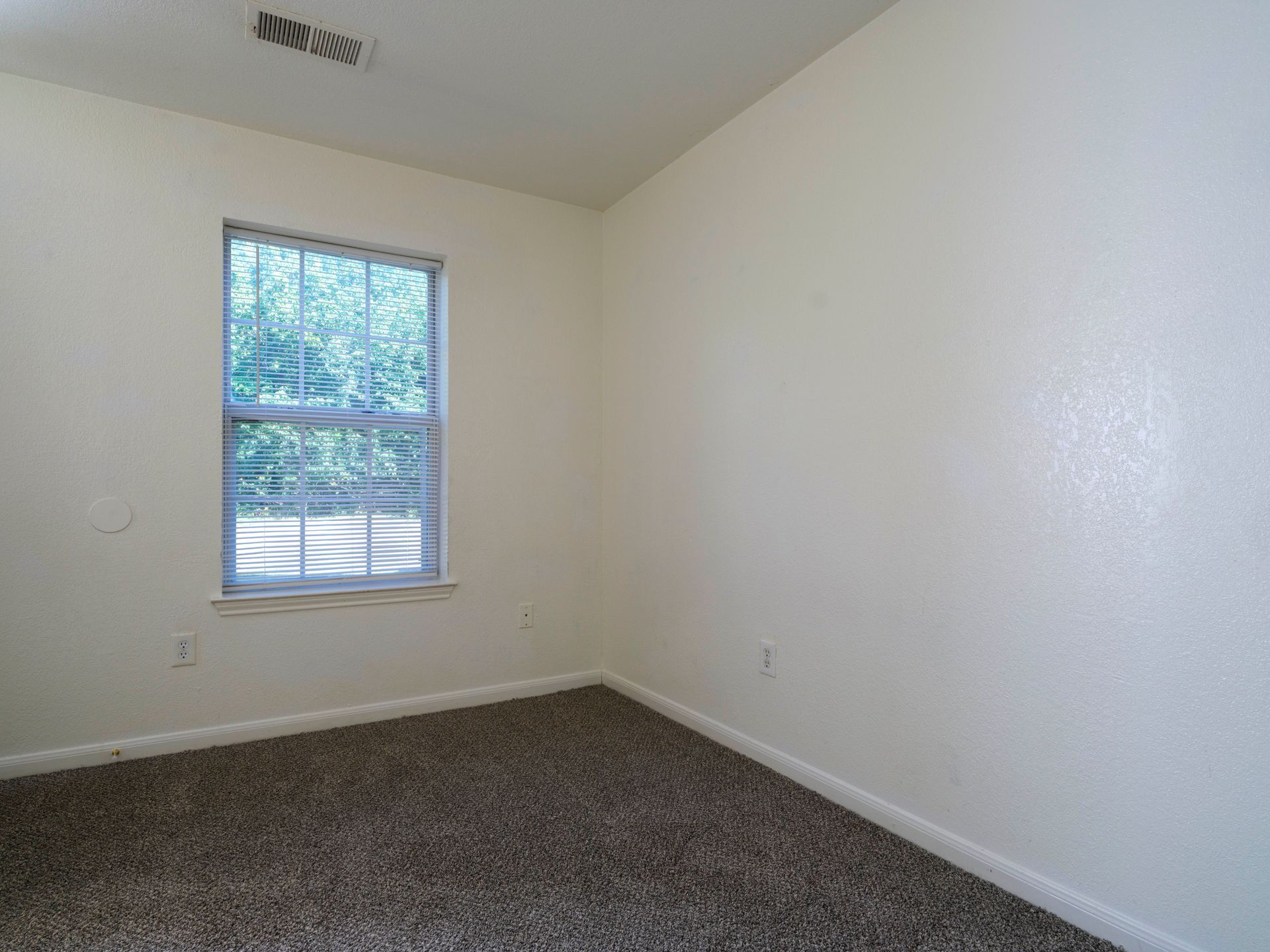 Empty carpeted bedroom with white walls and a window letting in daylight