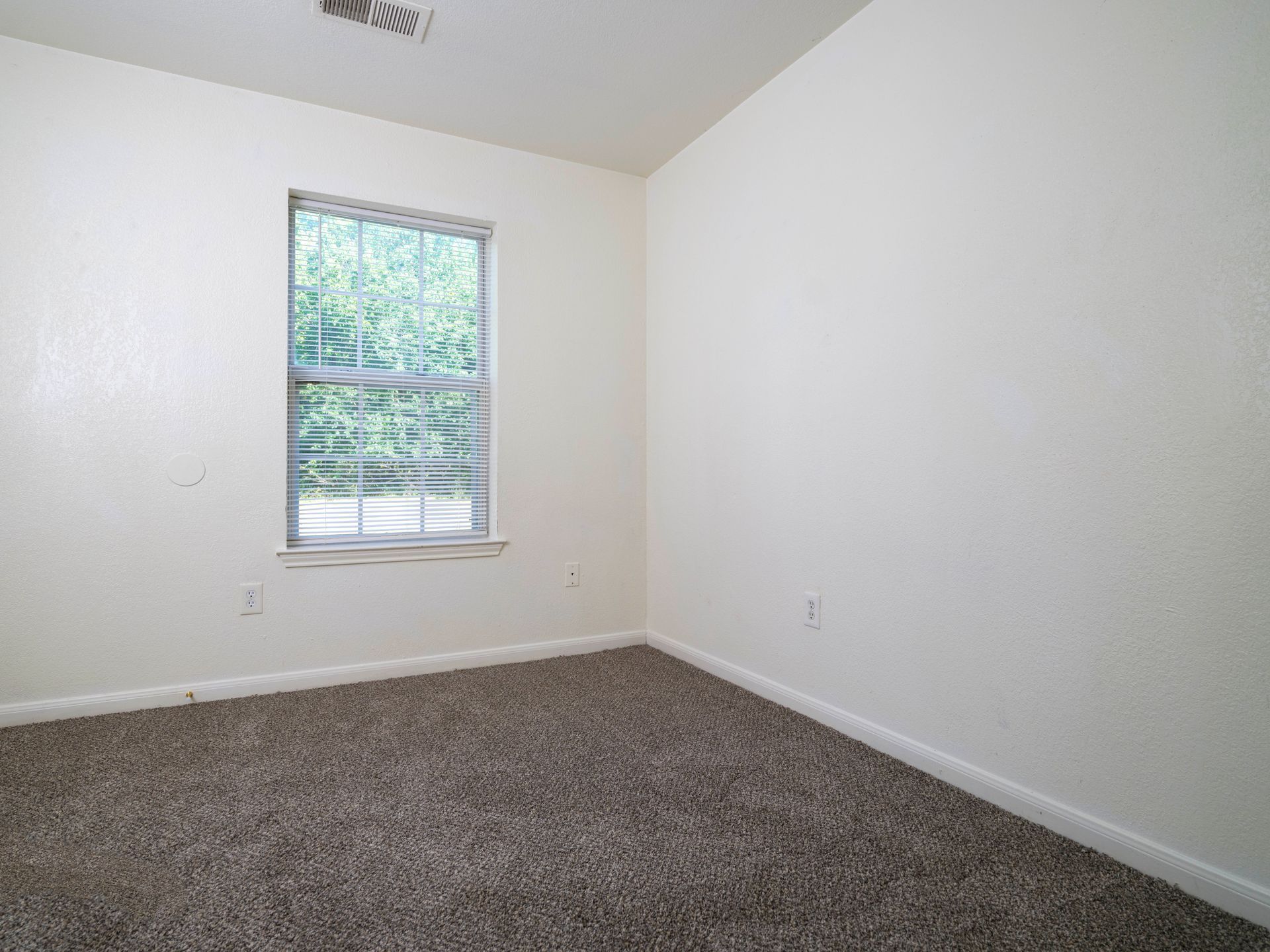 Empty beige bedroom with carpet, white walls, and a window looking out to greenery