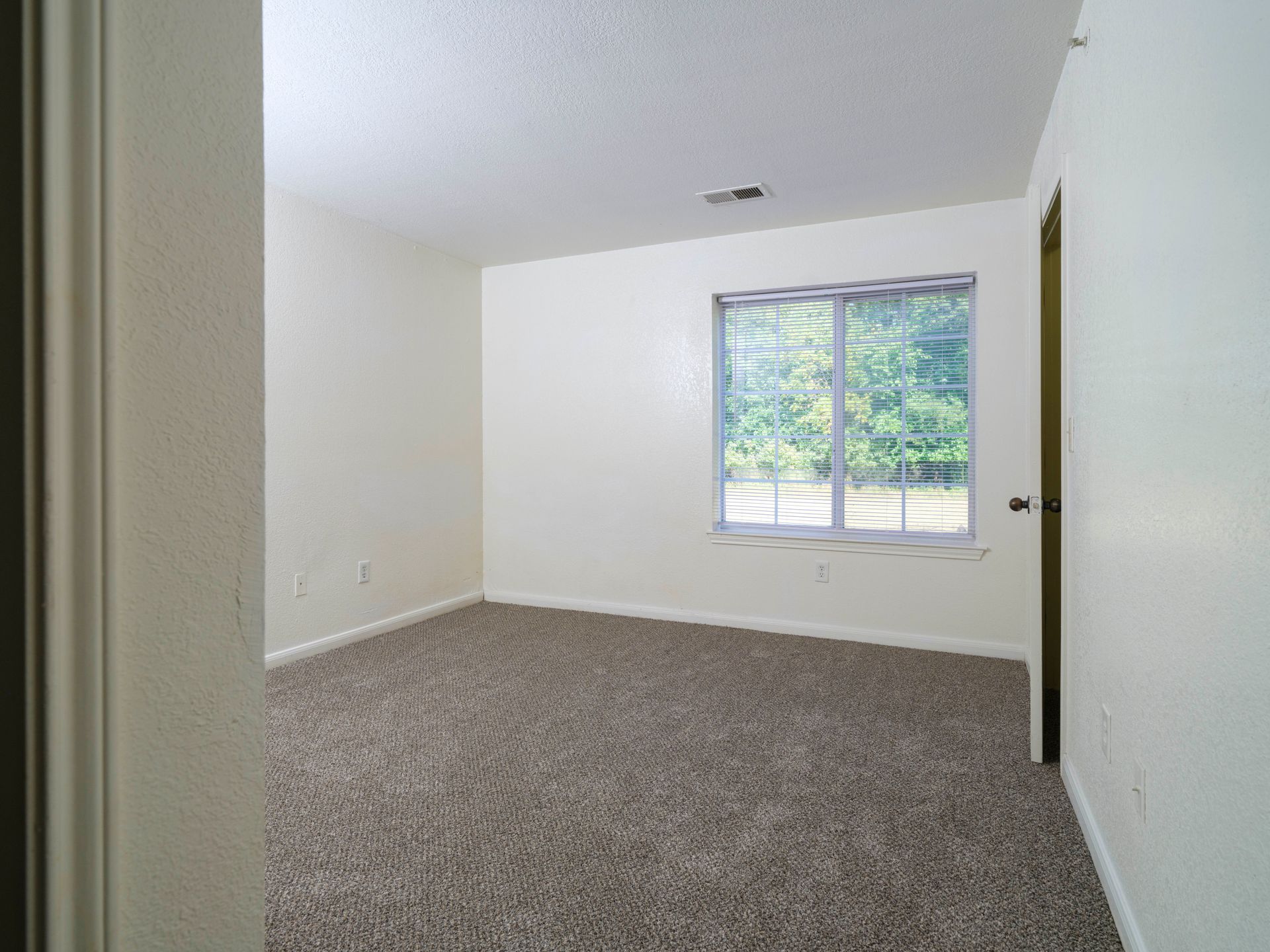 Empty carpeted bedroom with white walls and a window overlooking greenery