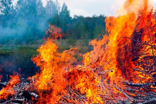 Large bonfire with bright orange flames, smoke billowing in front of a forest.