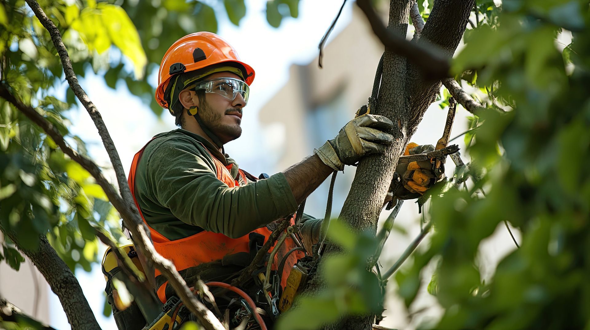 An arborist in safety gear prunes tree branches with a handsaw.