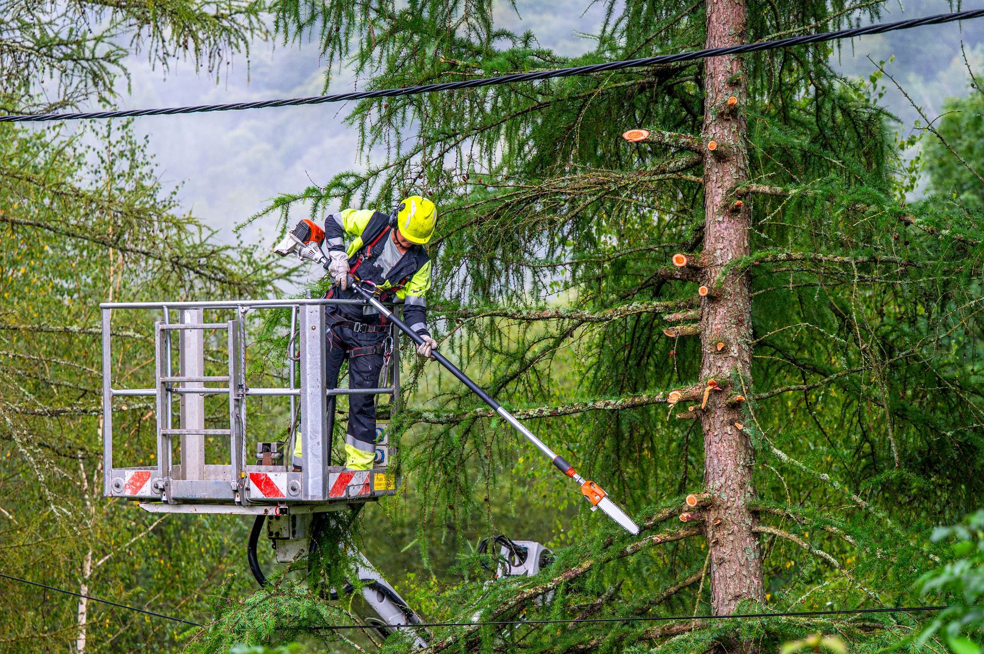 An arborist in a boom lift trims tree branches near a power line.