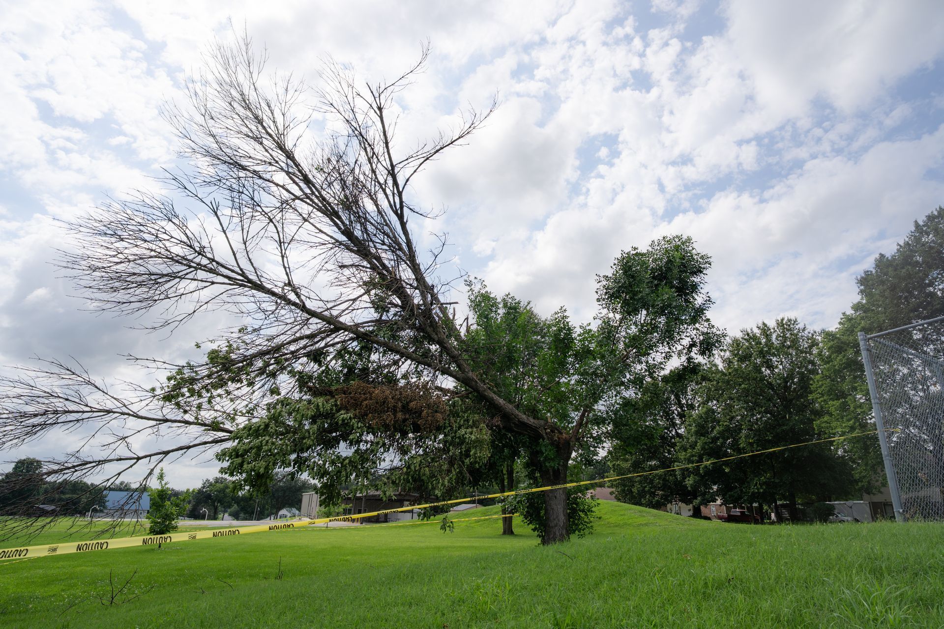 Large broken tree after a storm in a green area.