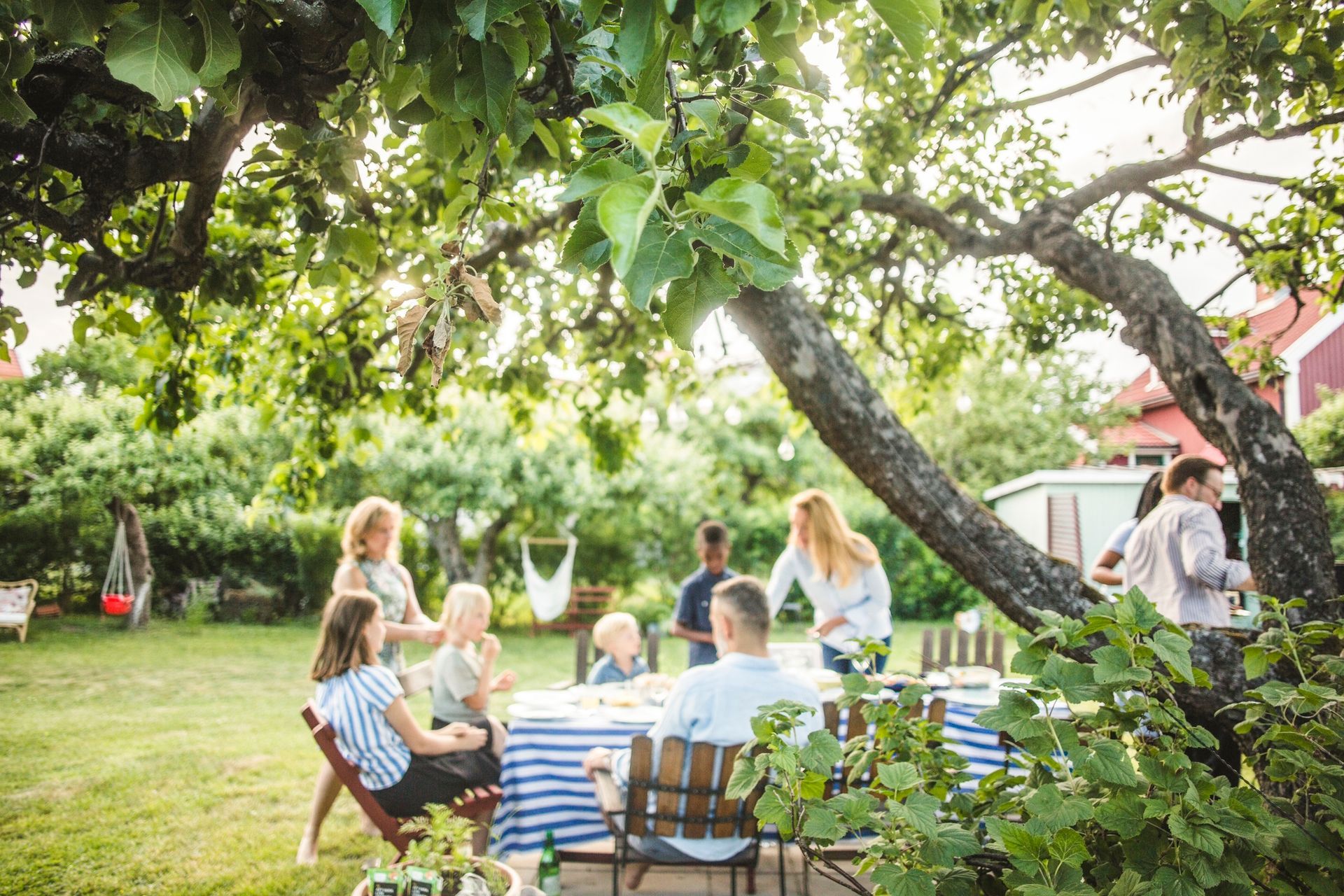 People gathered around a table under a tree in a sunny backyard.