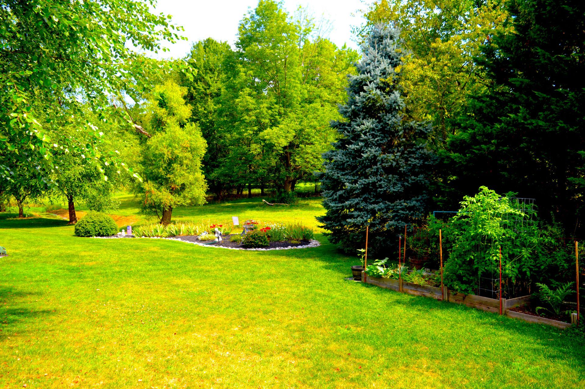Green, grassy yard with a flower bed and various trees under a bright sky.